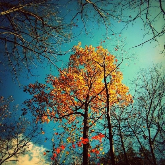 MeetThePosher🪷@Uniqueboutique - Picture 16 of 16